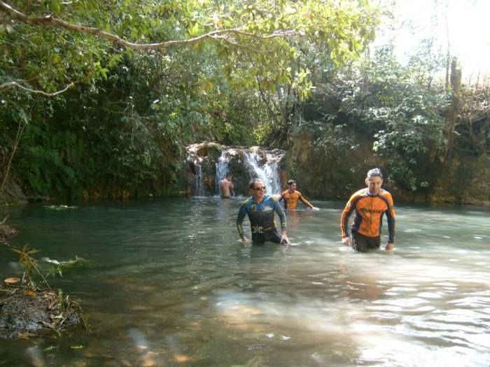 1236951_10152242082127178_858168478_n