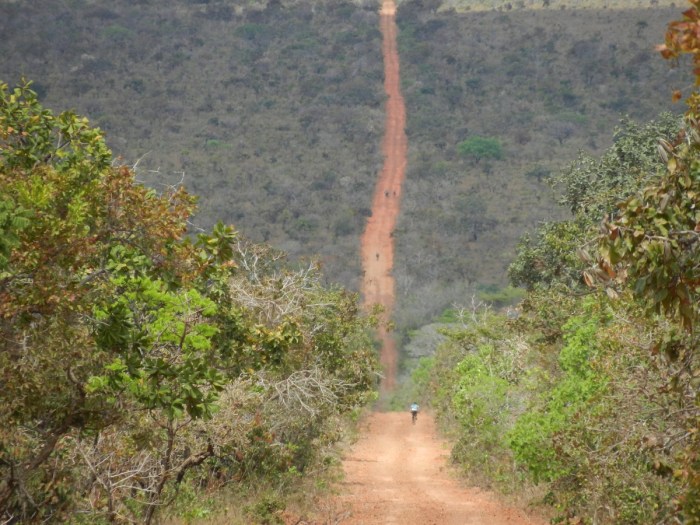 9766968102_8ec7ee0d67_o