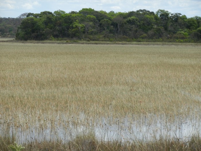 9766976552_e8f87d390e_o