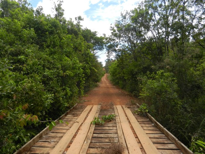 9767256353_f50728505f_o