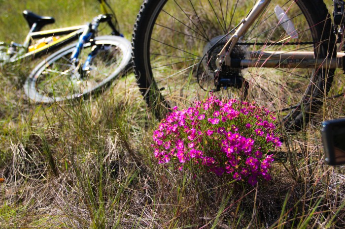 14006637771_b791cc3494_o