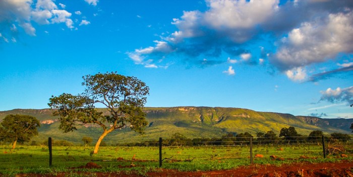 14029783813_bb64f147b5_o