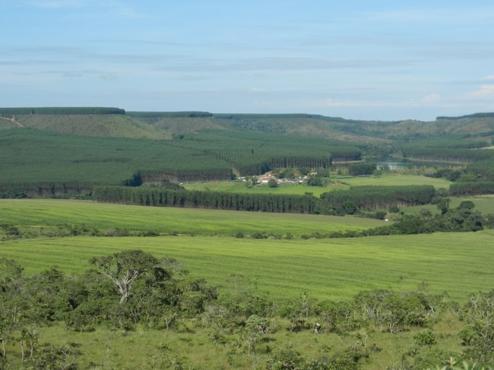 cajuzinho-13042014-bauru-07_13828957903_o